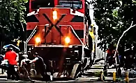 Инвалид-колясочник попытался проскочить перед поездом и попал на видео в Мексике