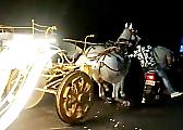 Скакуны с каретой сбежали со свадьбы и устроили забег по индийской магистрали