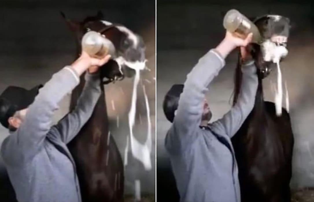 Жокей напоил шампанским лошадь, победившую на престижных скачках в Испании