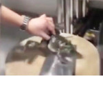 Мяукающая жаба разжалобила повара китайского ресторана ▶