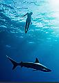 Скандально известная модель устроила голый дайвинг с акулами у побережья Гавайев 1