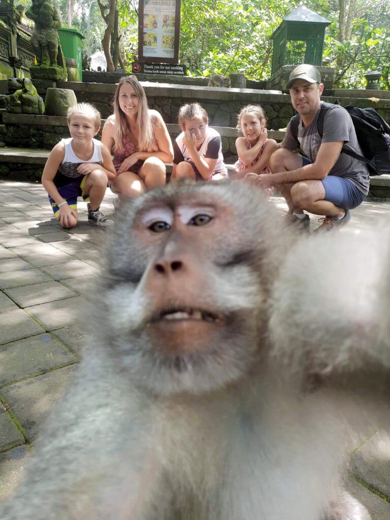Дерзкая обезьяна, нарушившая семейное селфи, показала, что она думает о туристах