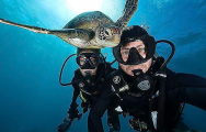 Любопытная черепаха появилась в кадре во время подводной фотосессии двух дайверов 0