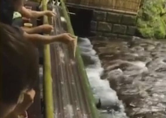 Наловить лапши из водопада, предлагают в японском ресторане (Видео)