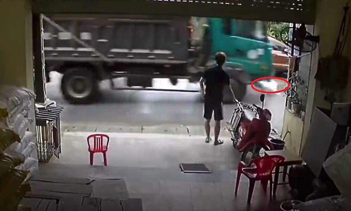 Пёс пережил наезд грузовика на глазах у хозяина во Вьетнаме