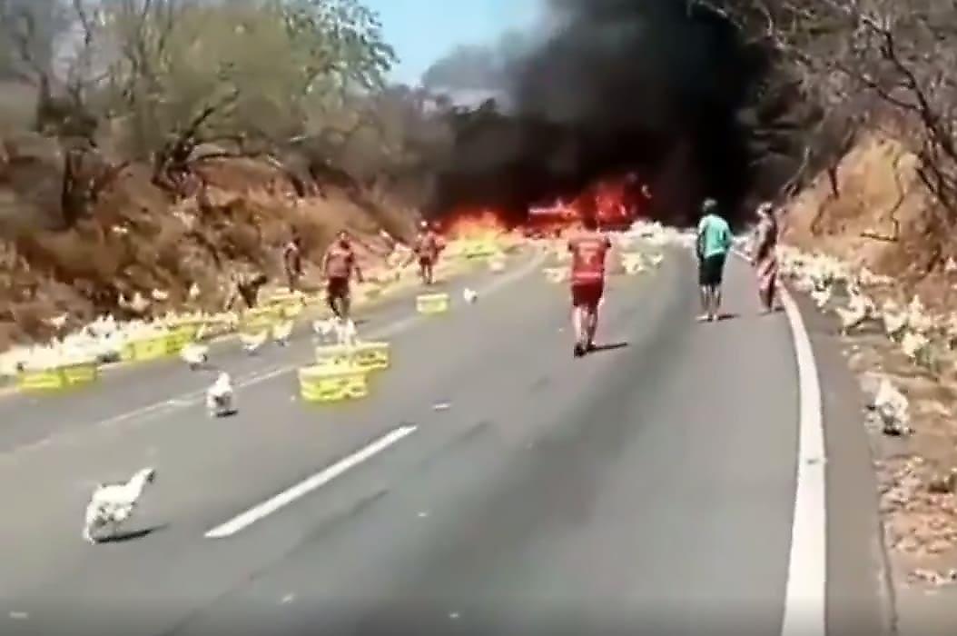 Грузовик с живой курицей на борту загорелся в Бразилии