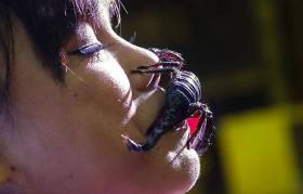 Тайская девушка установила рекорд Гиннесса, продержав живого скорпиона 3 минуты 28 секунд... во рту 0