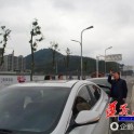 Краснозадая обезьяна стала виновницей ДТП на китайской магистрали 6