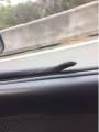 Необычный «пассажир» прокатился на боковом зеркале автомобиля в Австралии 3
