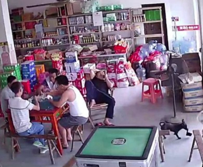 Собака утащила кошелёк, выпавший из кармана китайского картёжника (Видео)