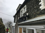 Овцы, испугавшись непогоды, забрались на козырёк крыши магазина 1