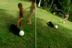 Пёс-футболист мастерски обыграл двух пацанов в Бразилии (Видео)
