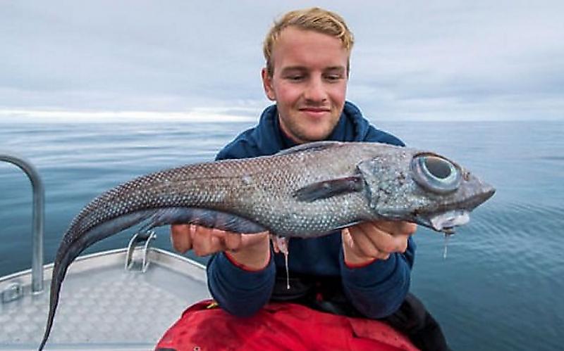 Рыбак выловил лупоглазую рыбину у побережья норвежского острова