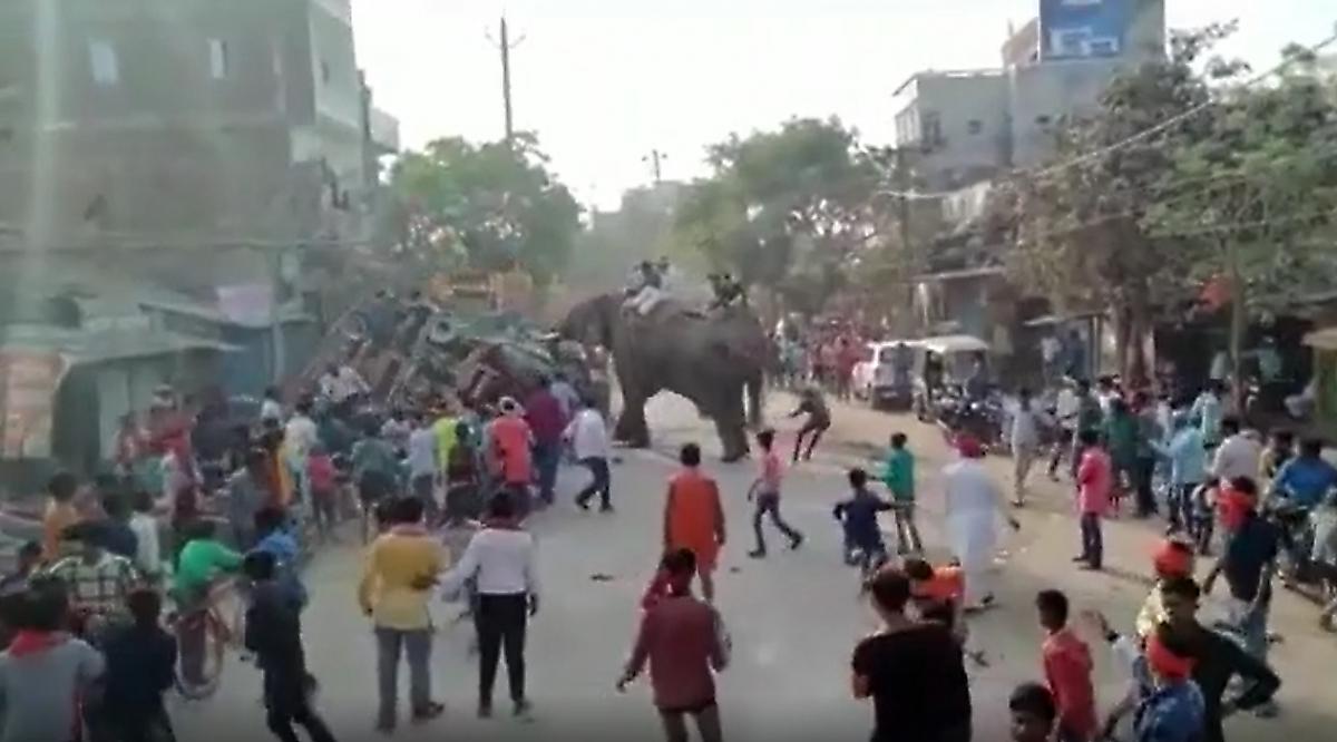 Разъярённый слон перевернул трактор во время праздника в Индии