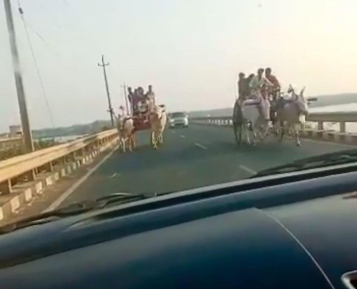Лобовое столкновение автомобиля с волами, запряжёнными в повозку, произошло в Индии