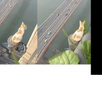 Кот, осматривающий мегаполис с высоты птичьего полёта, покорил интернет своим бесстрашием ▶