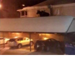 Лось совершил прогулку по крыше парковки в Канаде ▶