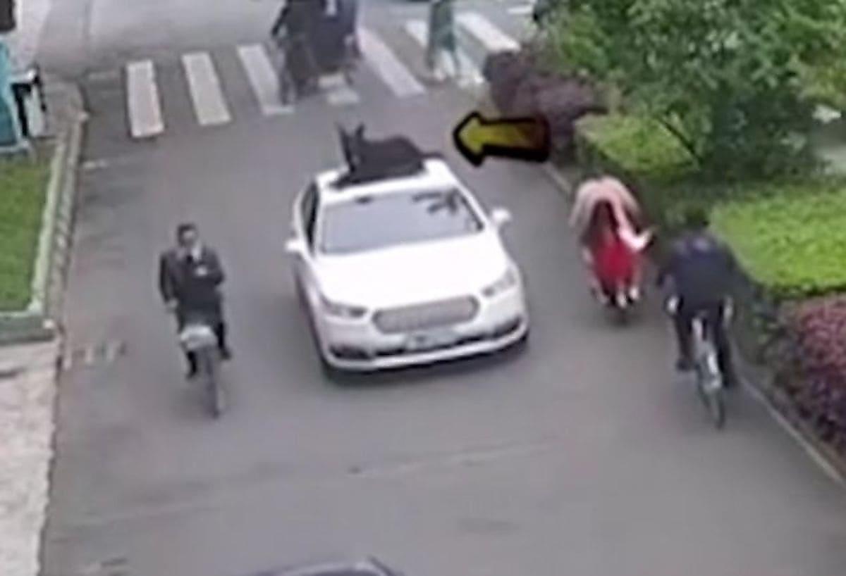 Из-за отсутствия места в салоне китаец прокатил собаку на крыше автомобиля