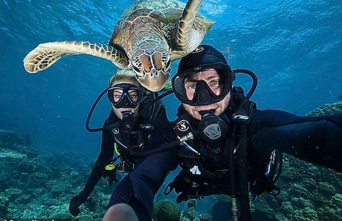 Любопытная черепаха появилась в кадре во время подводной фотосессии двух дайверов