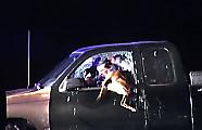 Служебный пёс помог полицейским арестовать беглого водителя