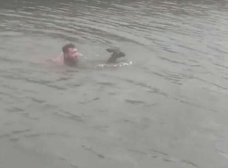 Смелый британец нырнул в холодные воды канала и спас утопающего оленя ▶