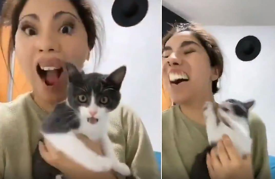 Девушка не на шутку испугала котёнка, изменив свою внешность в телефоне