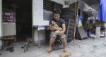 Собака, рождённая без задних лап, не ощущает себя инвалидом, благодаря своему владельцу (Видео)