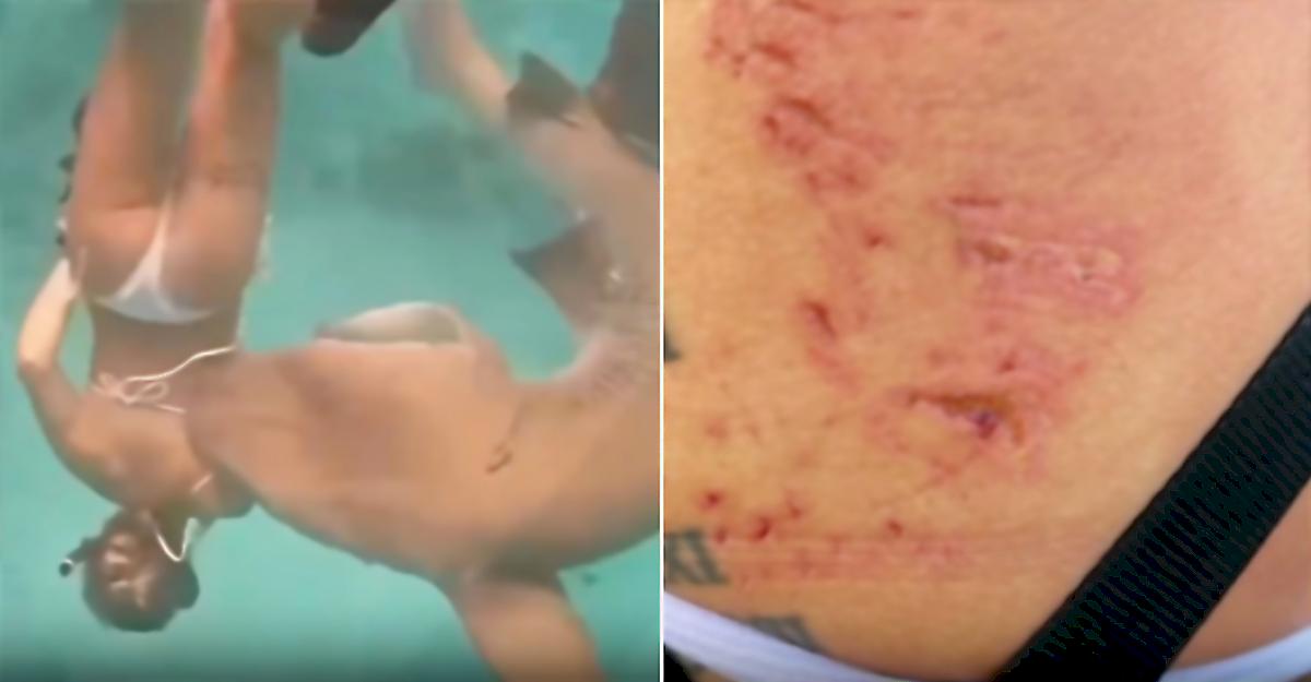 Усатая акула попробовала на вкус девушку в бикини на Мальдивах