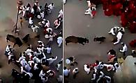 Драка быков прервала свадебную процессию в Индии