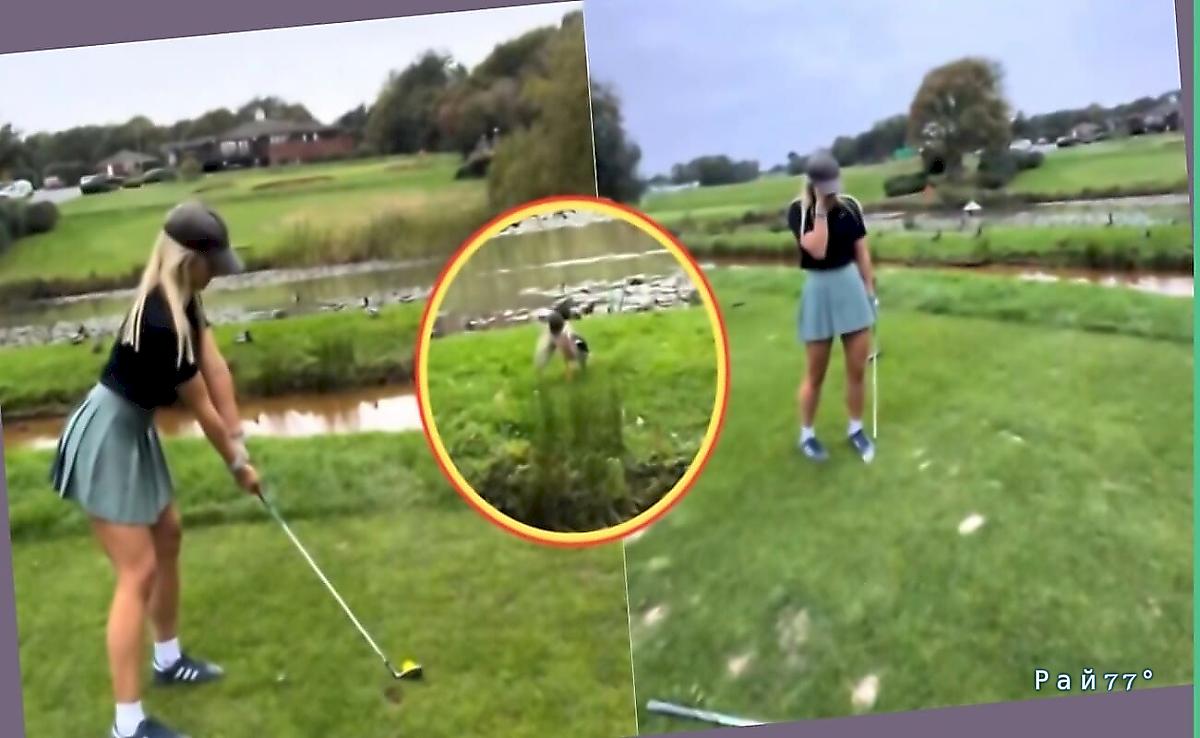 Юная гольфистка расчувствовалась, подбив птицу Юная гольфистка расчувствовалась, подбив птицу