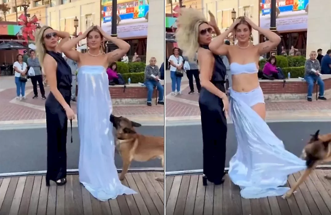 Пёс снял платье с девушки во время селфи: видео