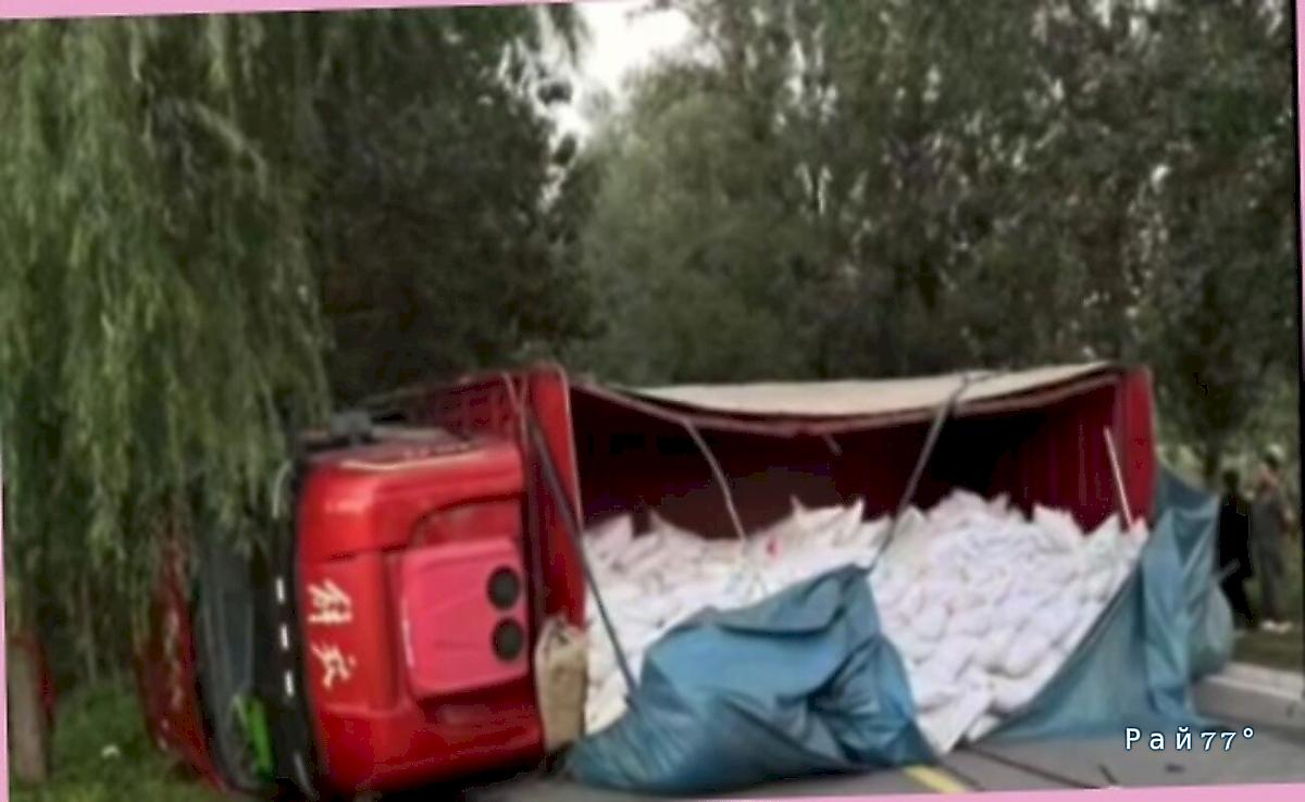 Грузовик выехал на встречку, задел легковушку и опрокинулся, перегородив магистраль Грузовик выехал на встречку, задел легковушку и опрокинулся, перегородив магистраль