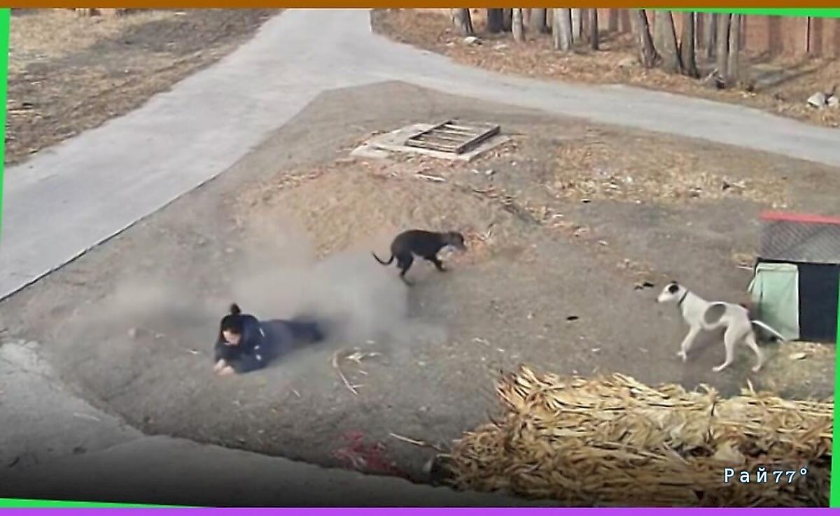 &laquo;Отказ тормозов&raquo; привёл к серьёзному столкновению в КНР