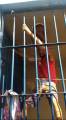 Заключённый застрял в потолке во время массового побега из тюрьмы в Бразилии (Видео) 0