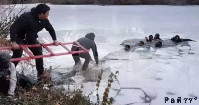 Семеро школьников вышли на лёд озера в центральном парке Нью - Йорка, но не успели запечатлеться и оказались в ледяной воде.