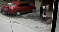 Выпавшая из окна собака, совершила жёсткую посадку на голове у пешехода в Китае (Видео)
