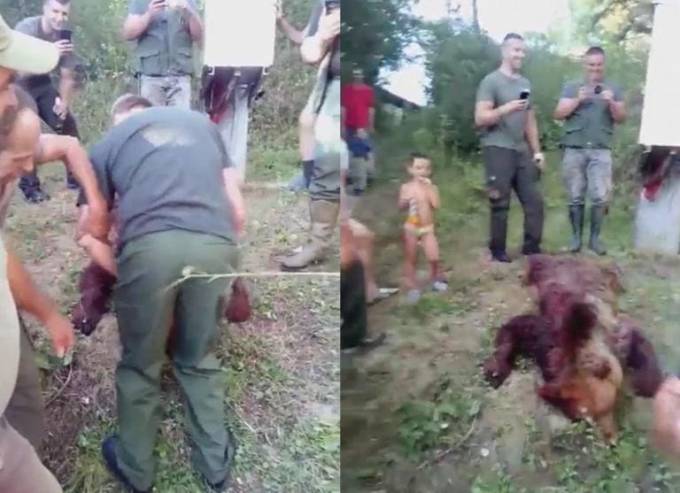 Очень странный ритуал продемонстрировали боснийские охотники возле туши убитого медведя. (Видео)