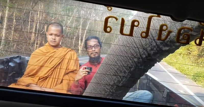 Слон ограбил буддийского монаха и его попутчика в Тайланде ▶