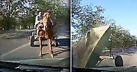 Лошадь, запряжённая в гужевую повозку не разошлась с легковушкой на узкой дороге - видео