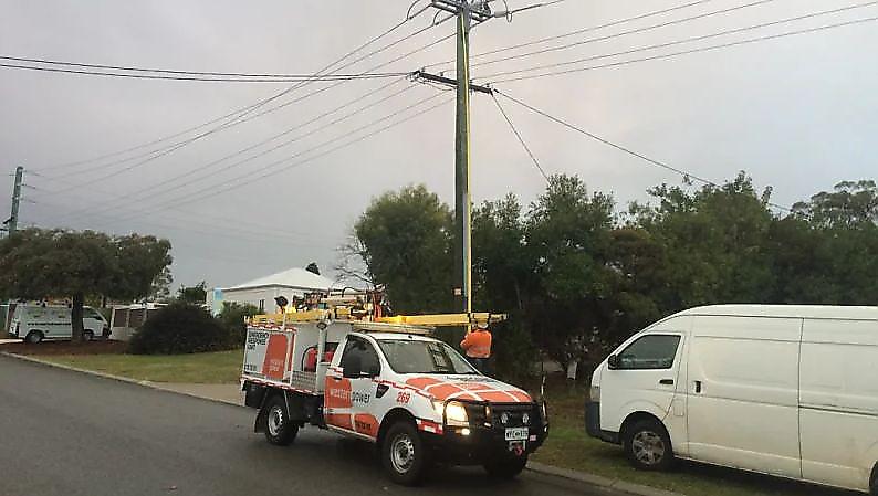 Романтическая встреча двух кукабар на проводах, оставила без света 1000 домов в Австралии