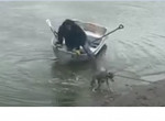 Гребцы на лодке с лопатами насильно спасли койота и вытащили его из водоёма
