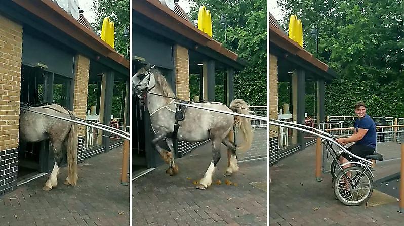Лошадь оставила «сюрприз» на пороге негостеприимного Макдоналдса ▶