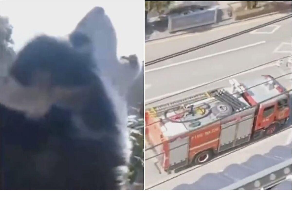 Маламут устроил забавную «перекличку» с пожарной машиной в Китае