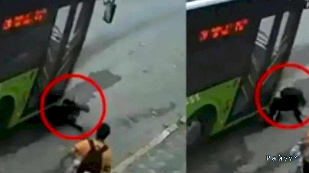 Потасовка школьников едва не закончилась под колёсами автобуса для одного из них