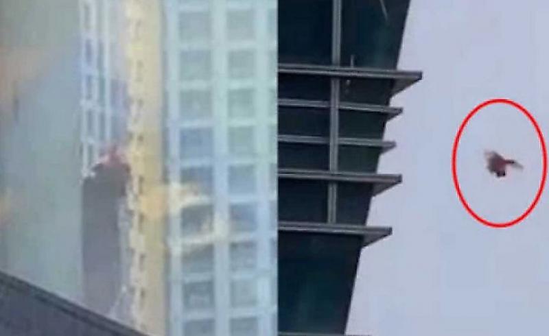 Курица, убегая от спасателей, совершила полёт, спрыгнув с 22-го этажа высотки в Китае ▶