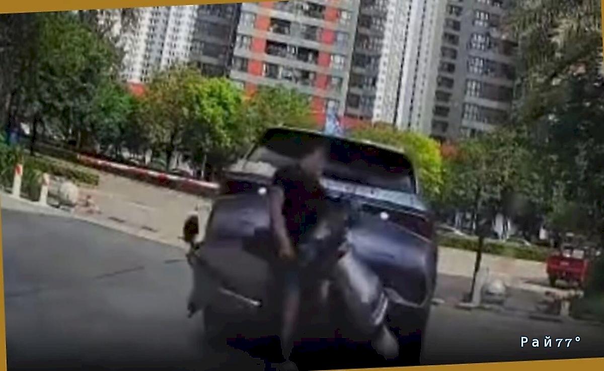 Девушка перепутала педали и застала врасплох китайского скутериста