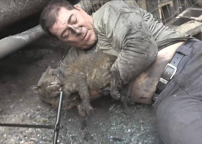Спасатель вытащил из-под сгоревшего остова машины чудом выжившую кошку (Видео)