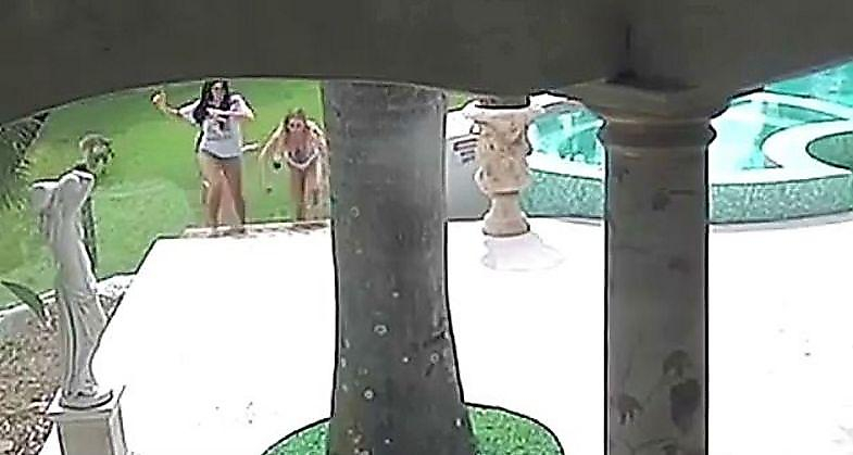 Кенгуру испортил фотосессию шестерым моделям, собравшимся возле бассейна австралийского миллионера ▶