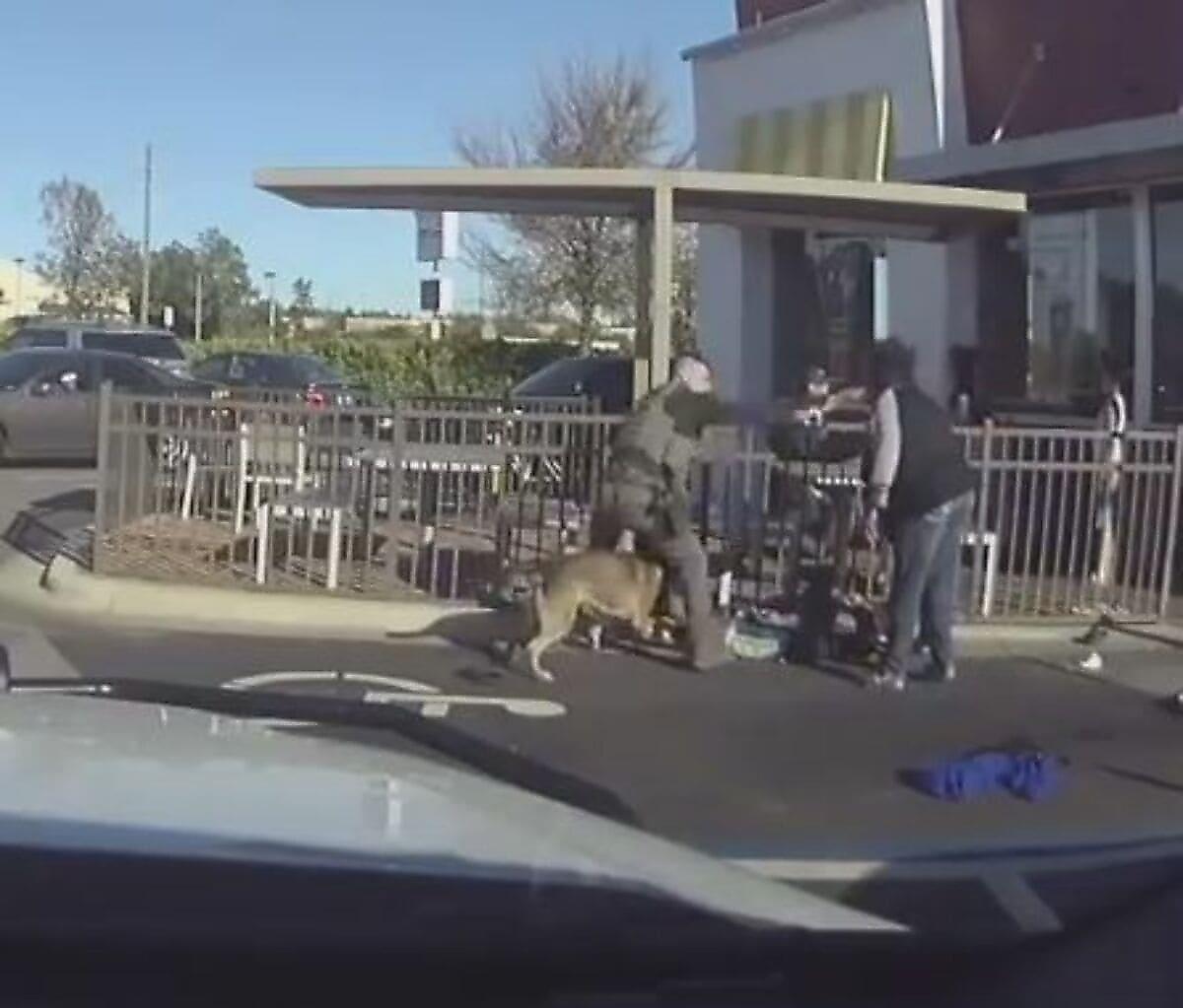Служебный пёс помог полицейскому усмирить драчунов возле закусочной в США