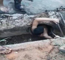 Бразильский подросток спас собаку, сбитую автомобилем в канализацию (Видео) 0